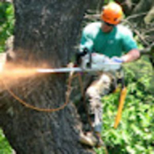 Meet your Posher, Clint